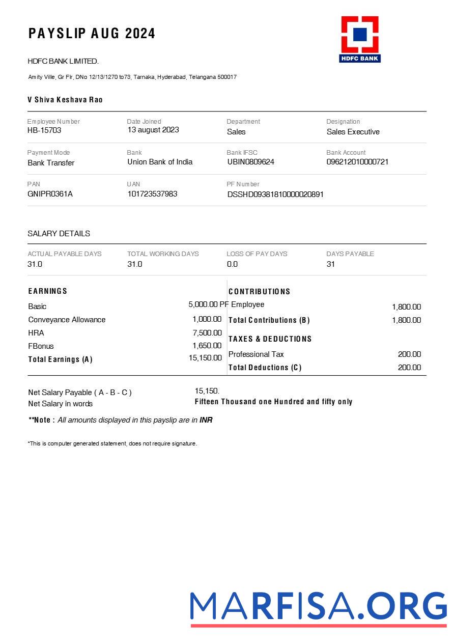 Downloadable HDFC Bank payslip real example